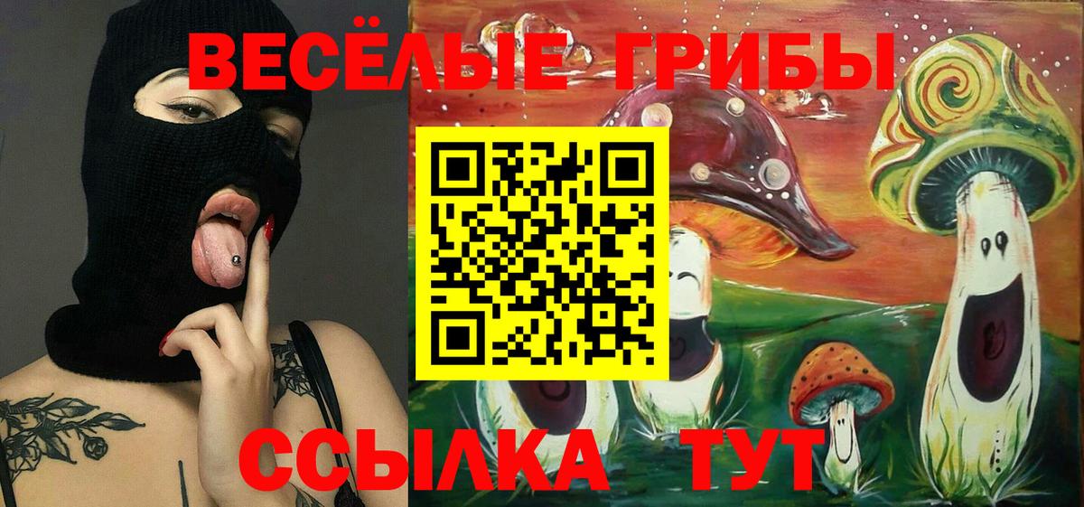 Галлюциногенные грибы Magic Shrooms Тихорецк