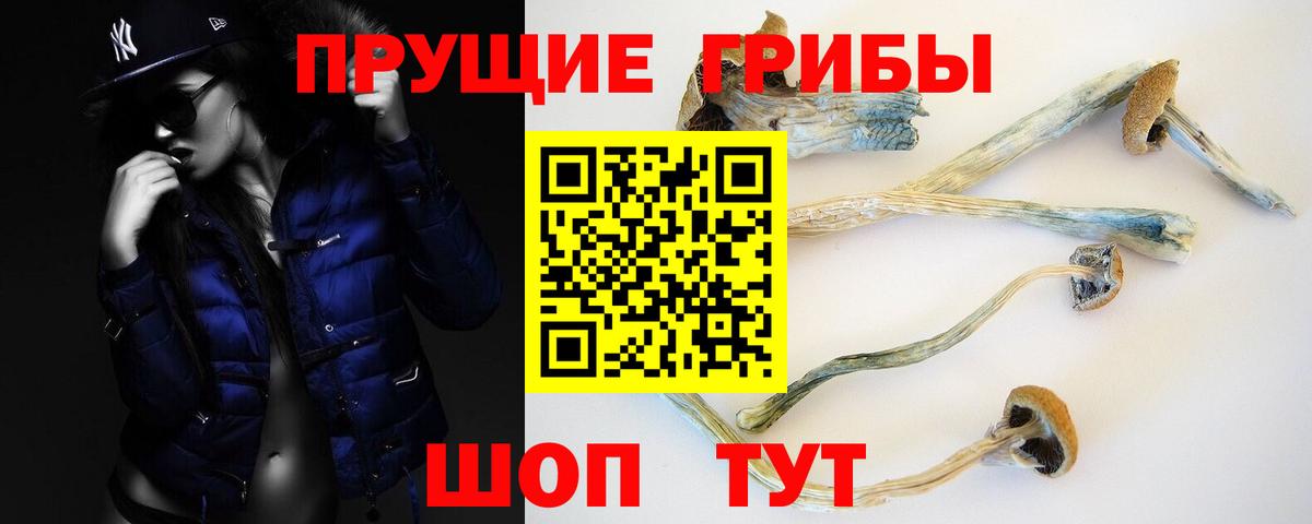 Тихорецк  Галлюциногенные грибы мицелий  Вход с VPN 